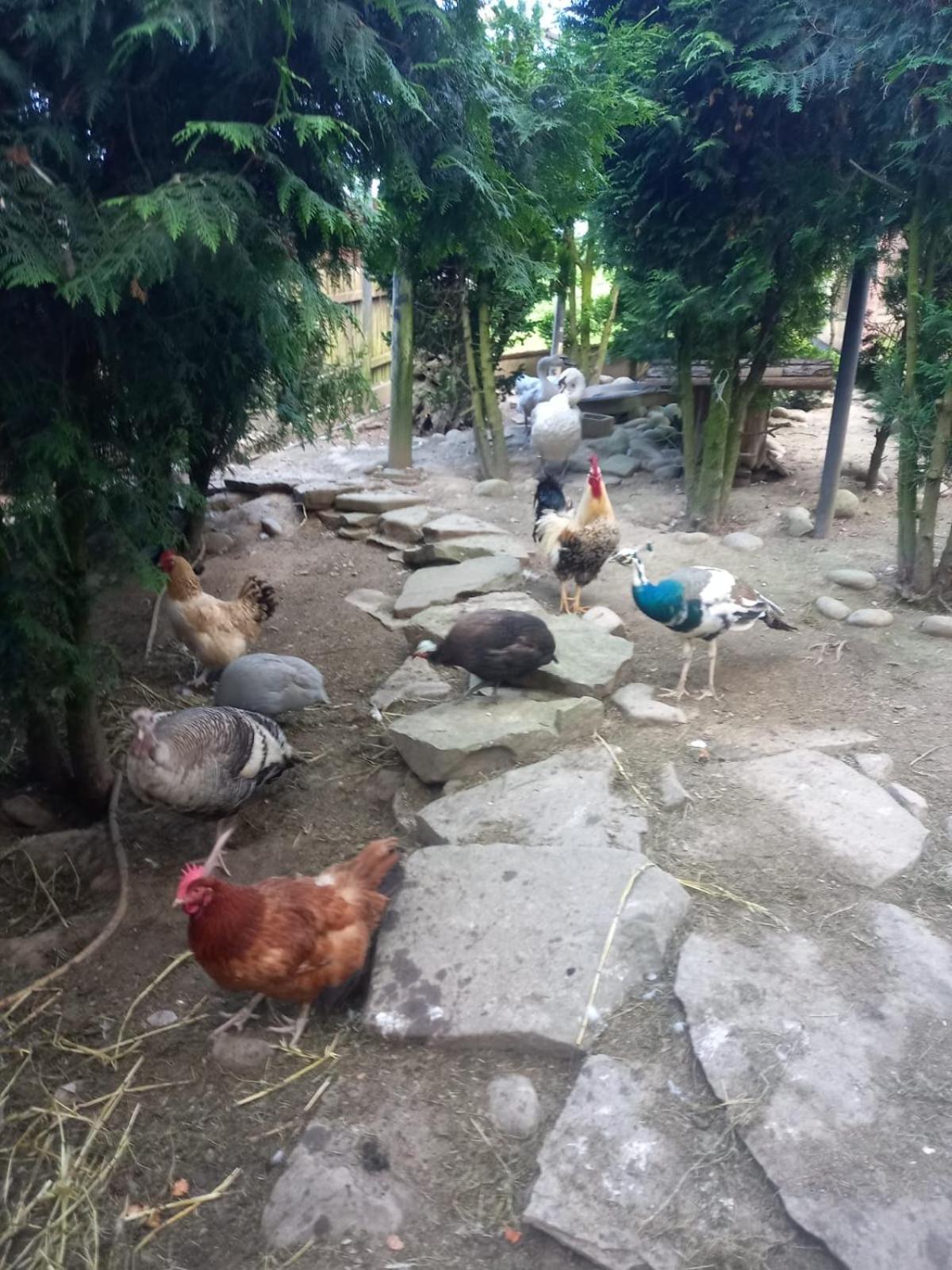 Kamionna  Koperkowe Rancho Beskid Wyspowy Domek Malopolskie Kamionna מראה חיצוני תמונה