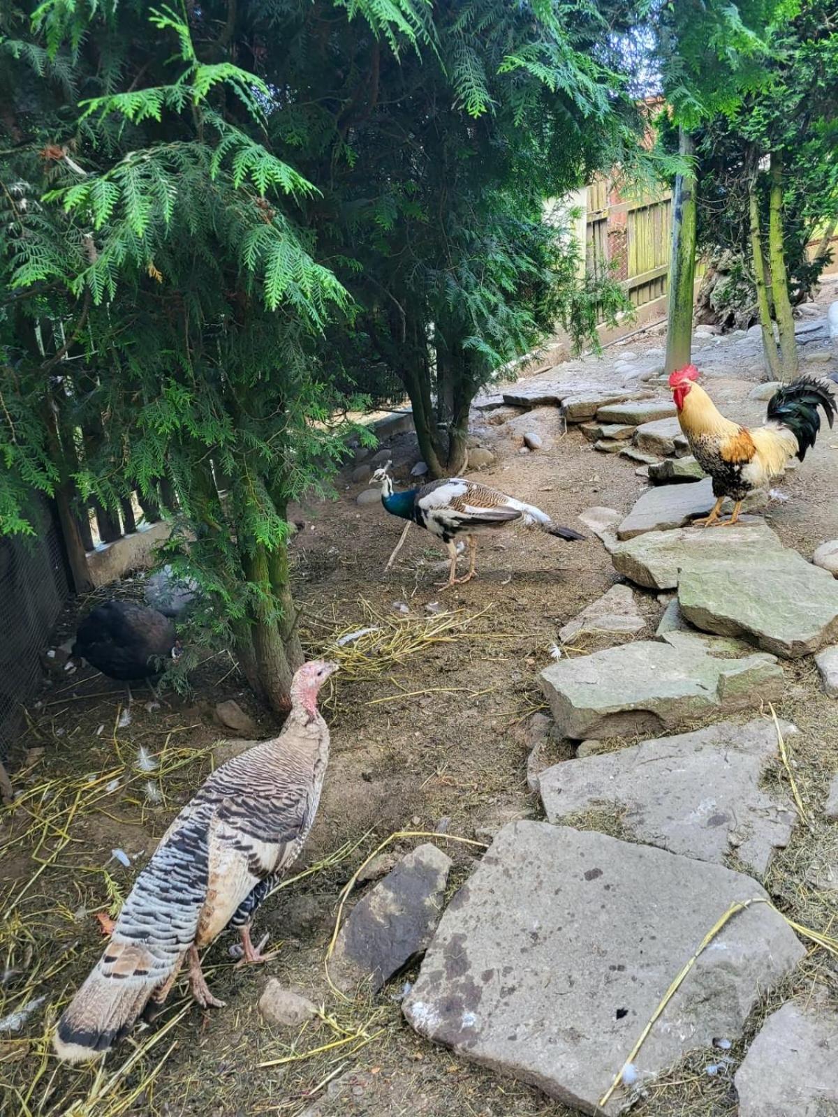 Kamionna  Koperkowe Rancho Beskid Wyspowy Domek Malopolskie Kamionna מראה חיצוני תמונה